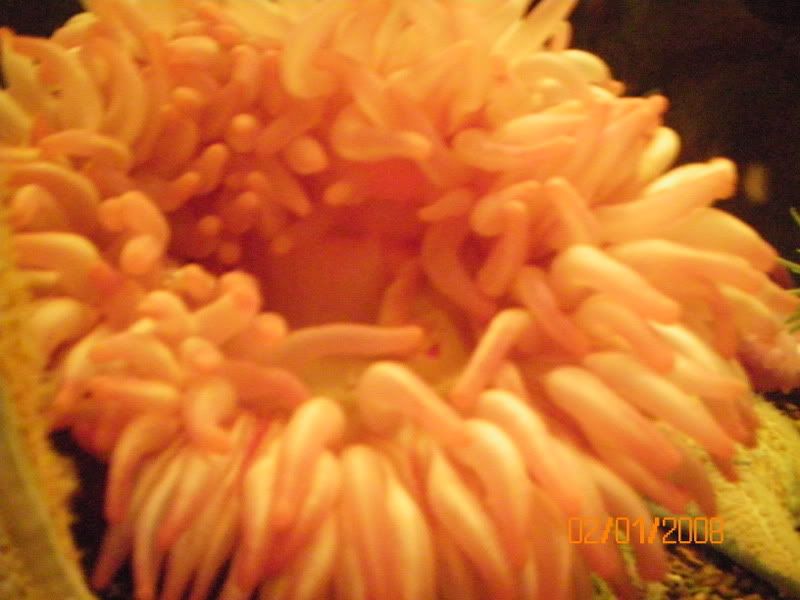 100_0137.jpg