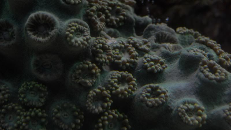 DSCN1340.jpg