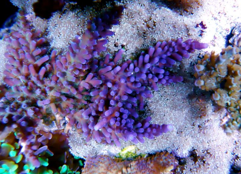 DSCN0446.jpg