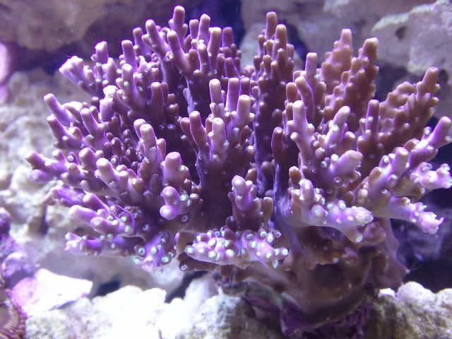 2011-02-06_135318.jpg