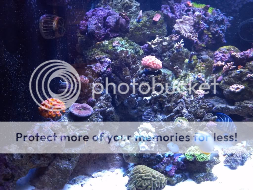 2011-12-07_13-40-30_187.jpg