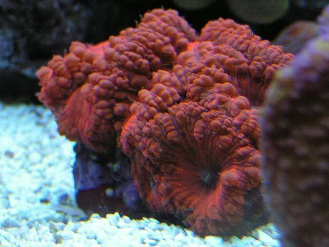 PICT0079.jpg