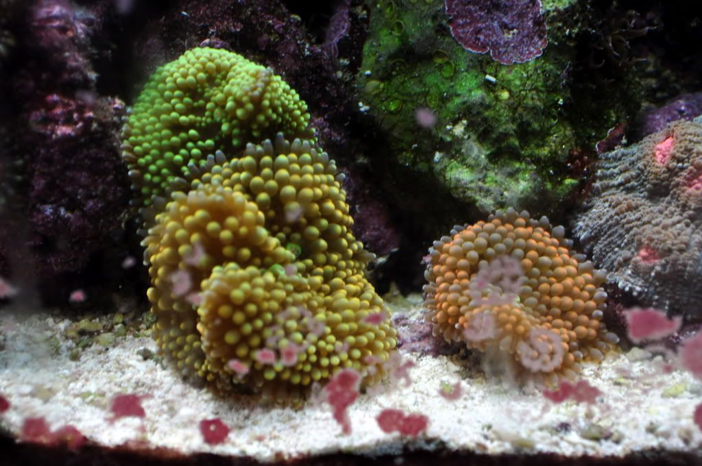 DSC_0327.jpg