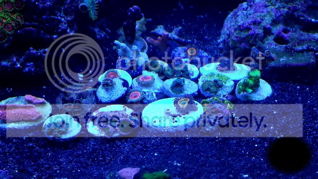 20140111_115331.jpg