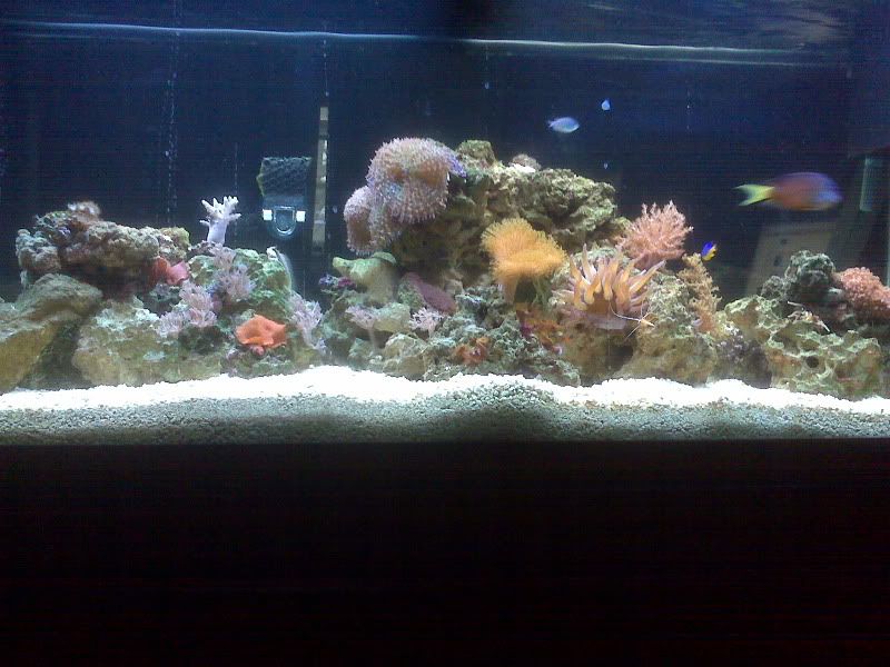 IMG00058.jpg