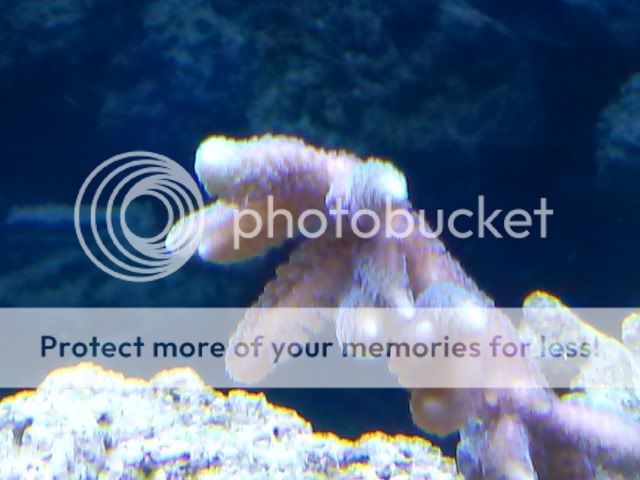 CAM00594.jpg