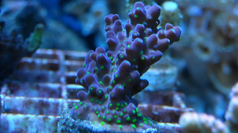 DSCN1490.jpg