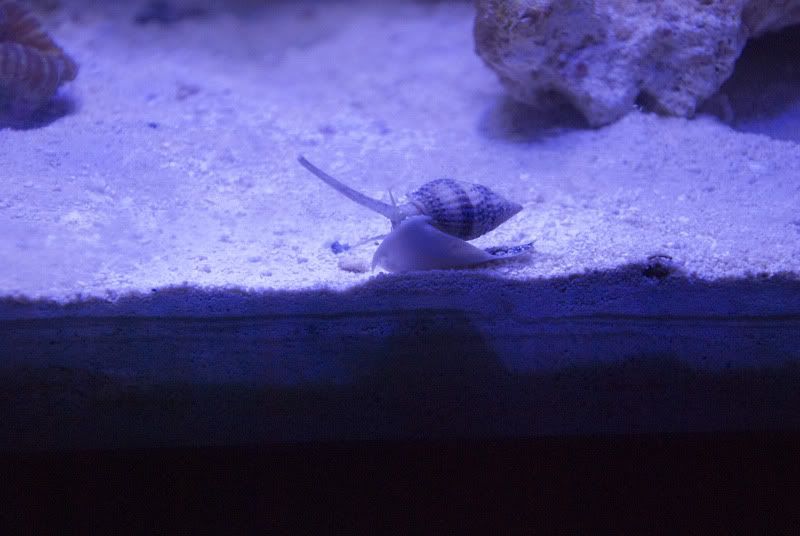 DSC_4166.jpg