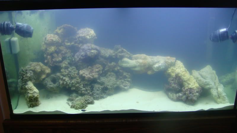 DSC09027.jpg