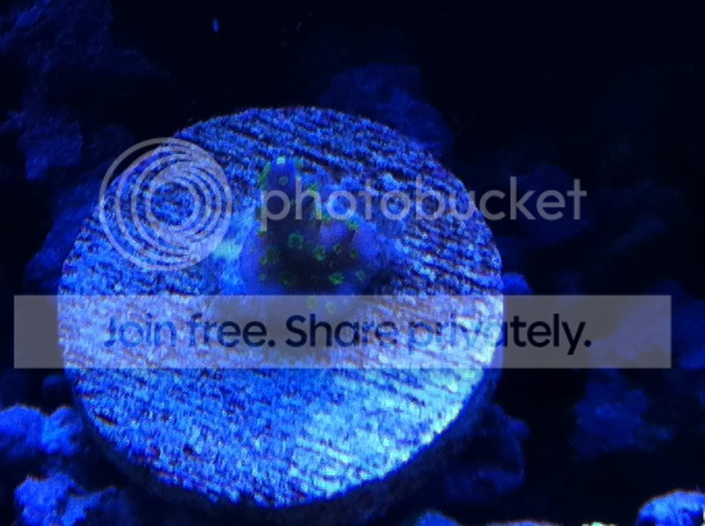 frags2-25-12014.jpg