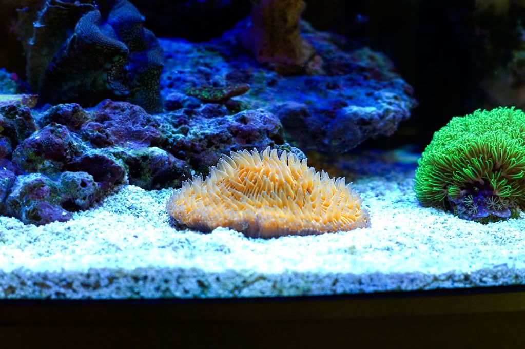 DSC_3628.jpg