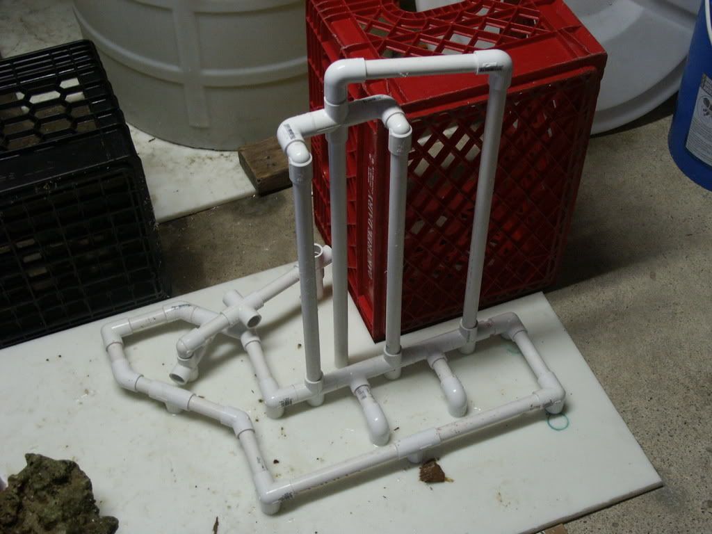 PICT0220.jpg