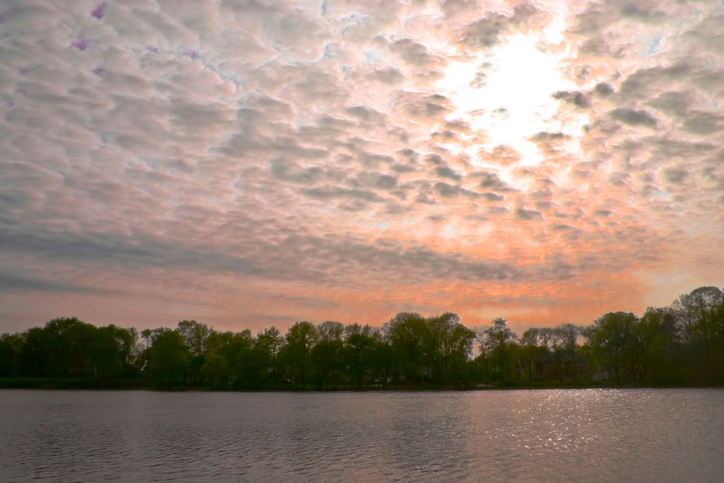 wolfpondpark50804008.jpg