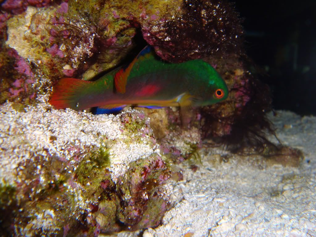 DSC02280_edited.jpg