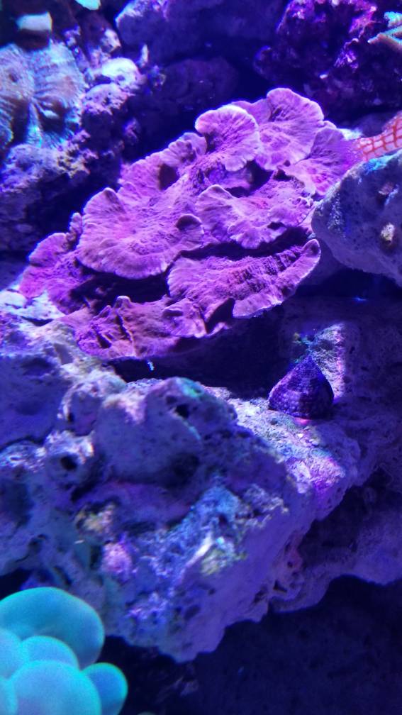 e86025c630e0dc843616446e806e3a45.jpg