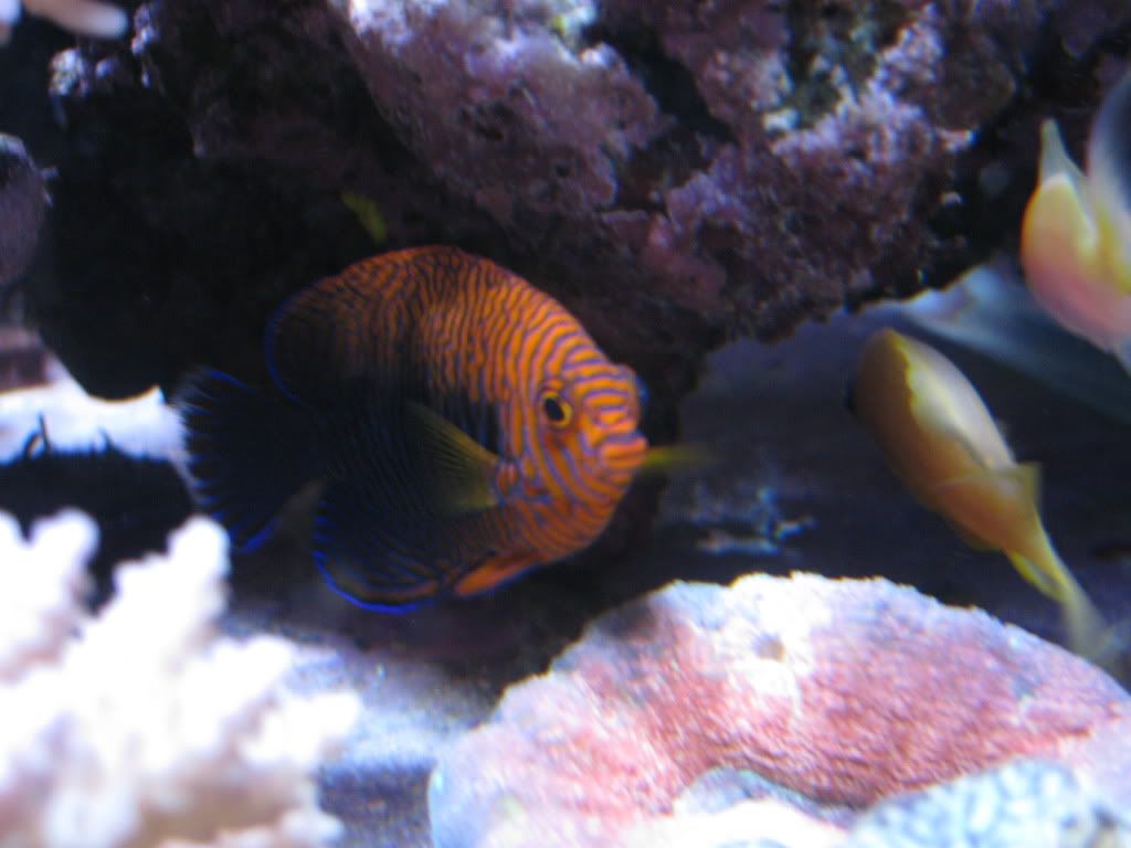 IMG_1062.jpg