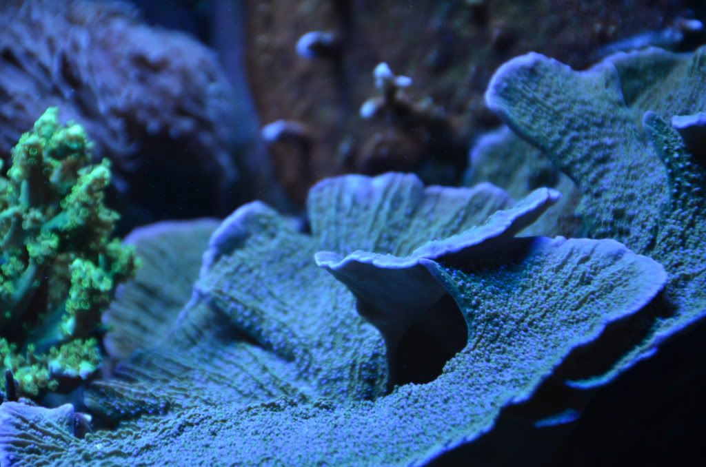 DSC_1835.jpg