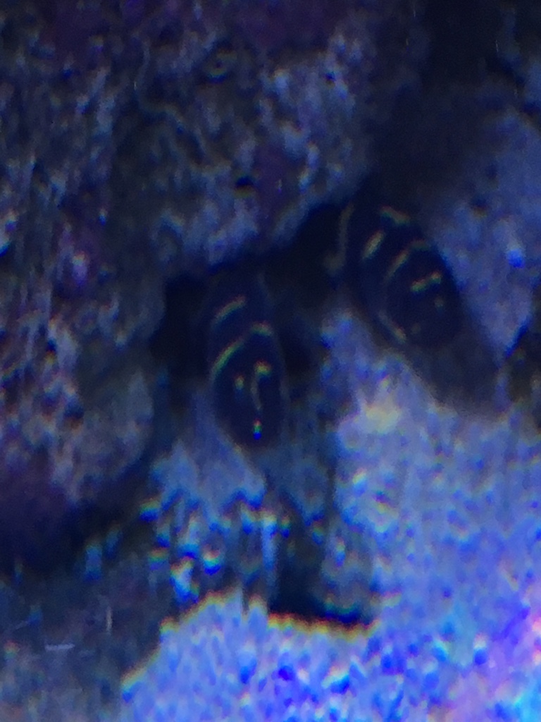 afdc4a5bce0d16c1dff42578e29c160a.jpg