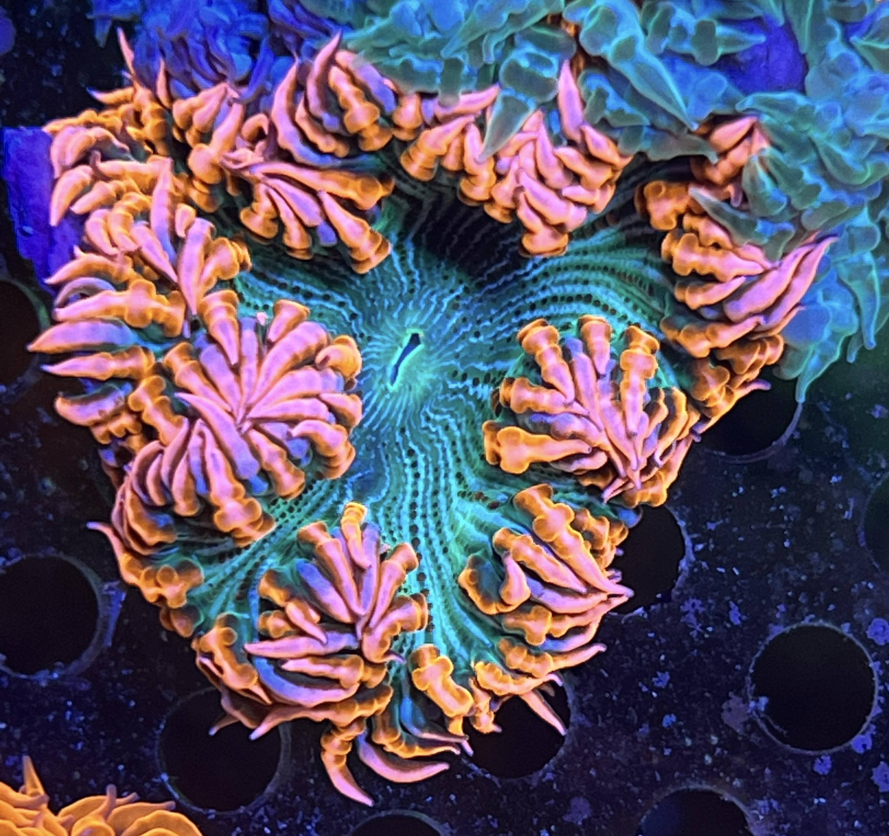 7e339b79ef58e0bd7d9e305700d537f7.jpg