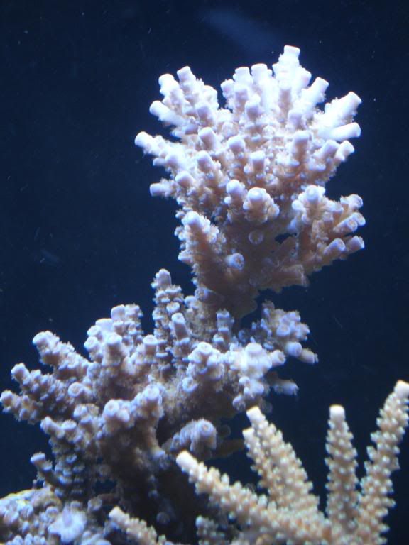 DSC04622.jpg