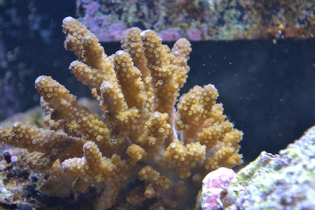 DSC_0006-4.jpg