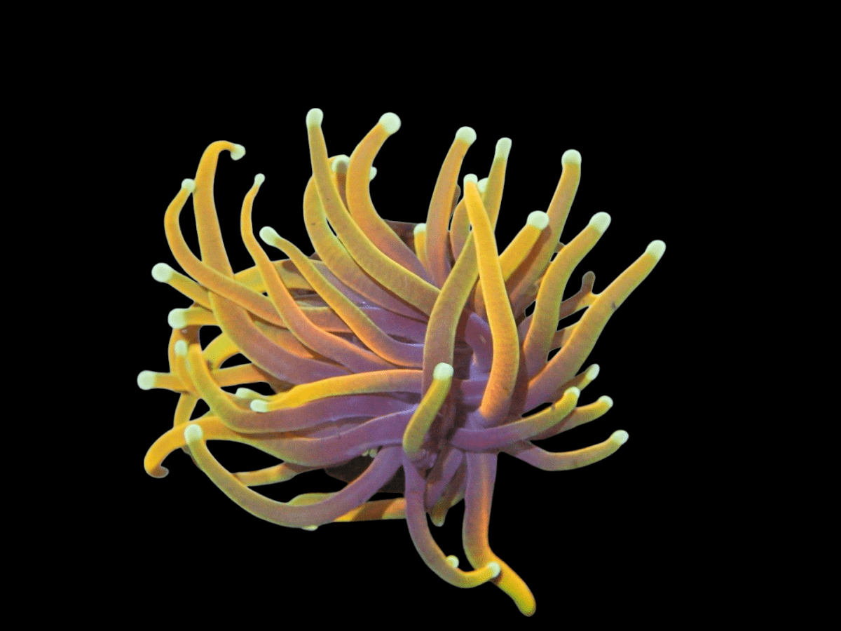 Photoroom-20250513_174407_2.png