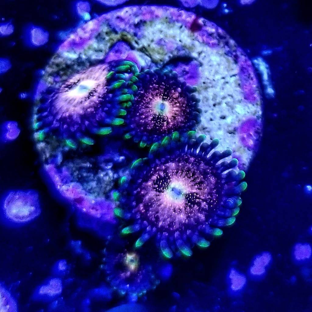 0e9c62c6c26d77ff29cc0060cab0ee15.jpg