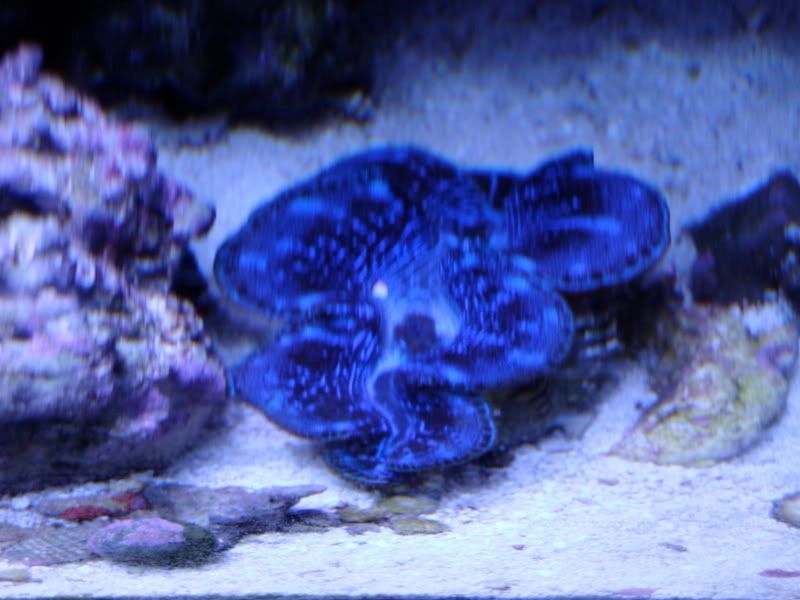 DSC00006.jpg