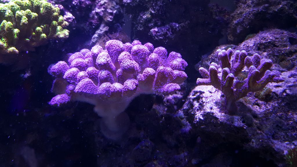 20150601_163932.jpg