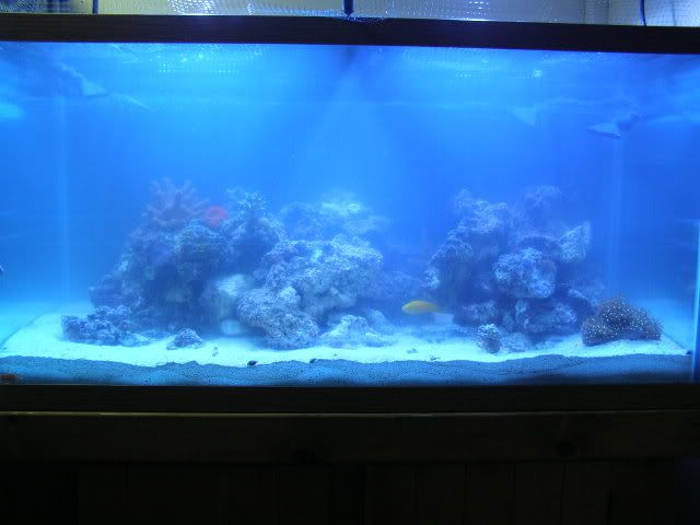 P8040006.jpg