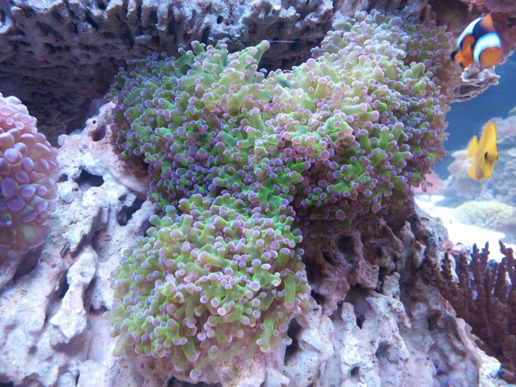 2012-05-07140248.jpg
