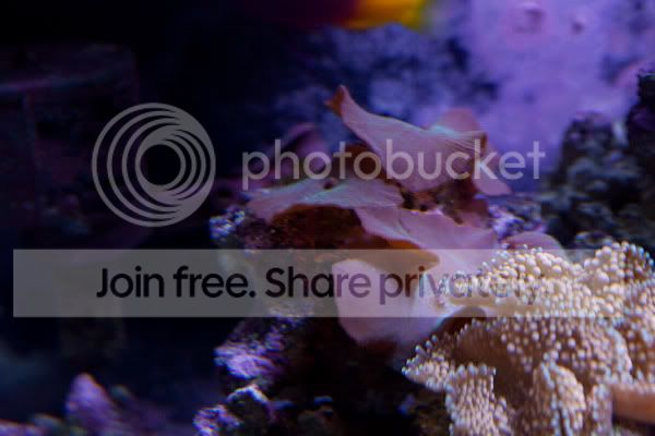 fishforsale-6.jpg