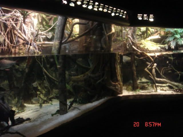 DSC01426.jpg