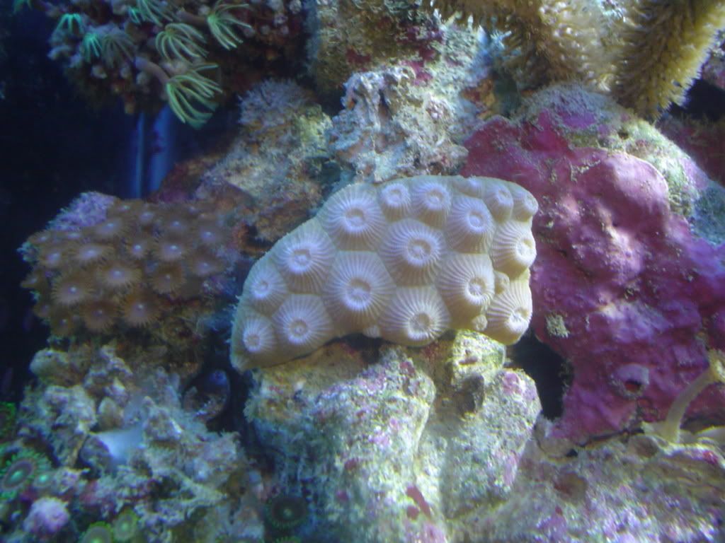 Picture012.jpg