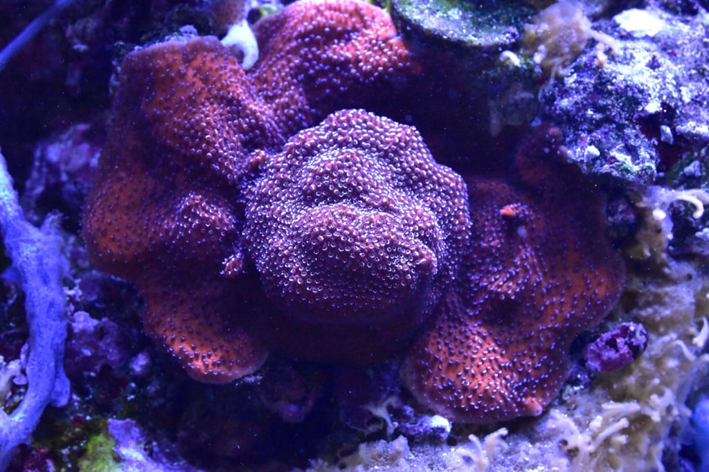 b760a9506240c82379e2265eb4f3f361.jpg