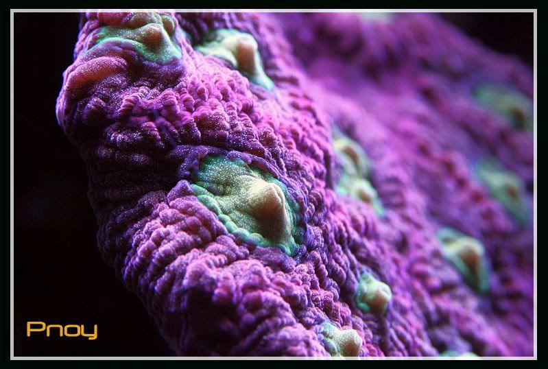 017copy-2.jpg