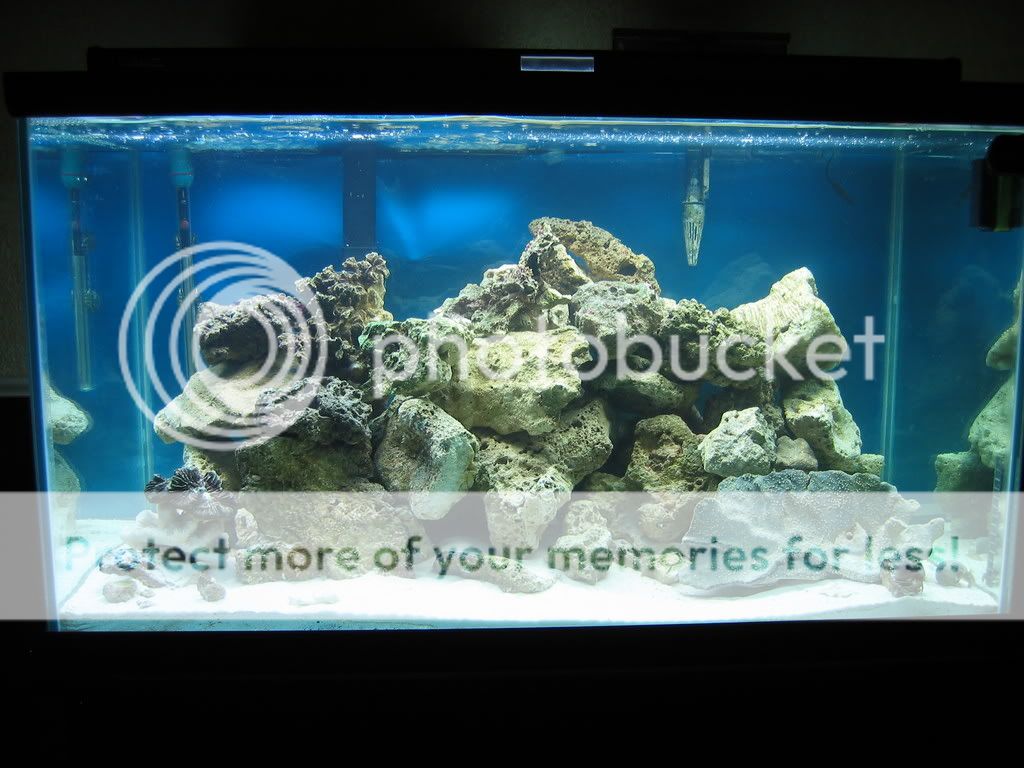 IMG_2842.jpg