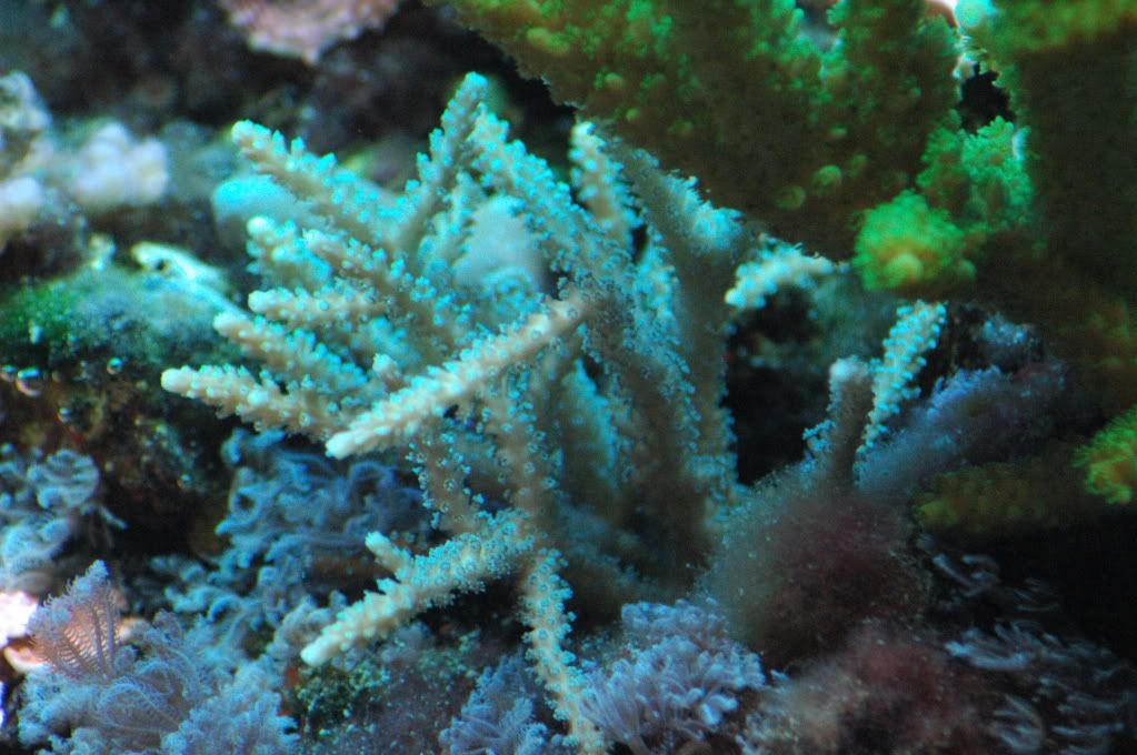 DSC_7872.jpg