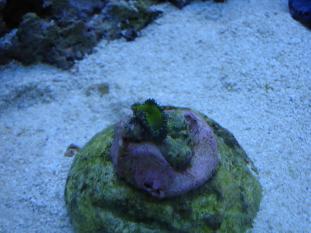 DSC04658.jpg