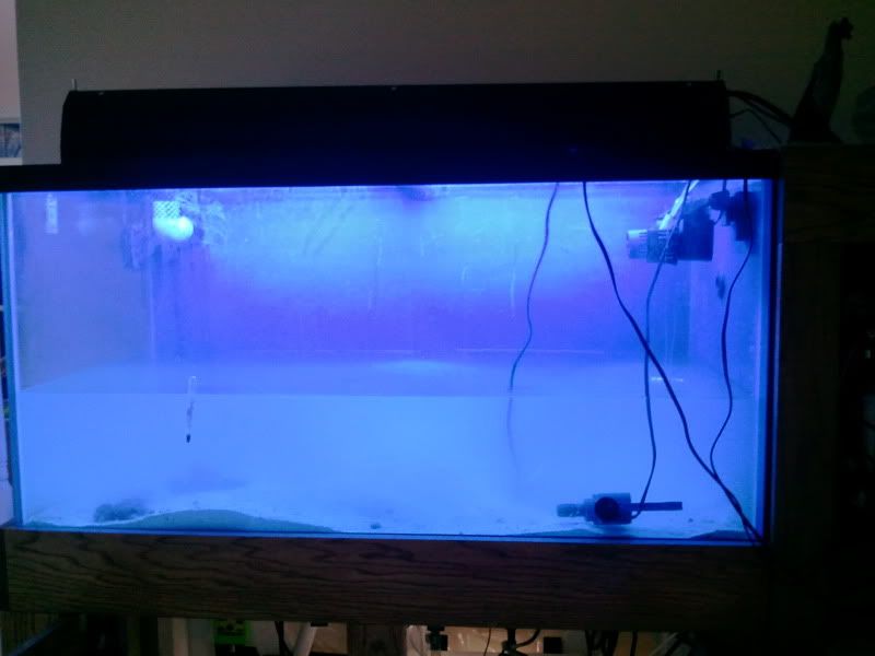 2011-03-27180300.jpg