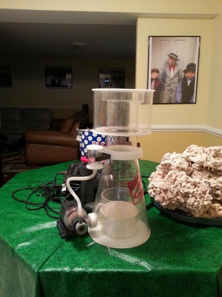 20121209_090259.jpg