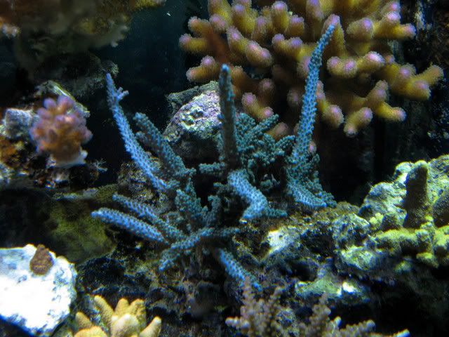 IMG_3555.jpg