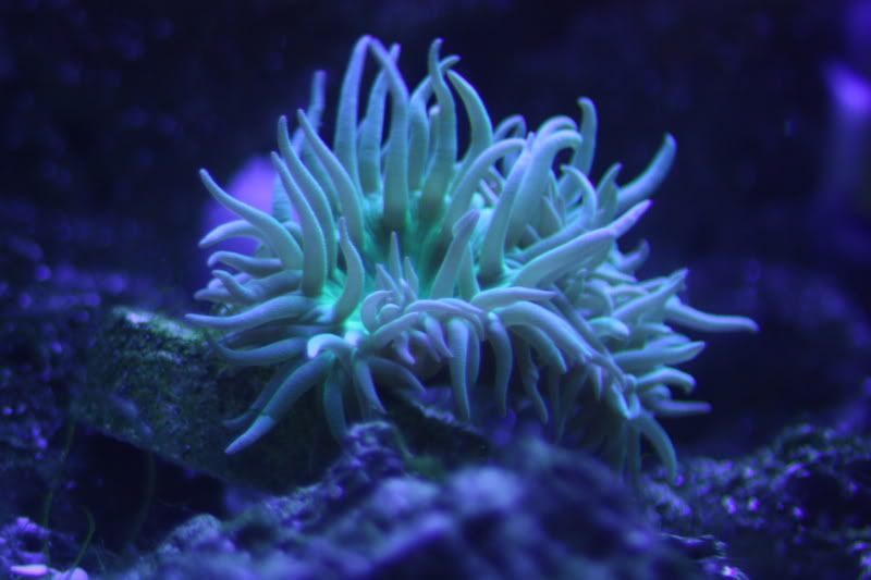 c91b0476.jpg