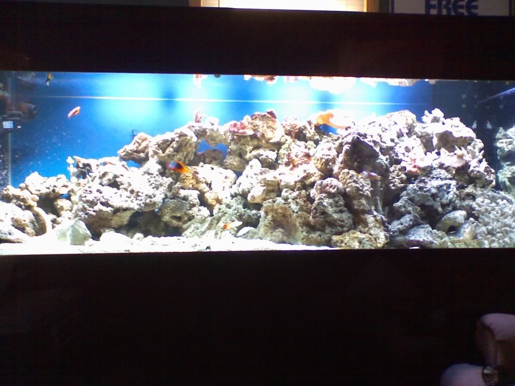 0913071829.jpg