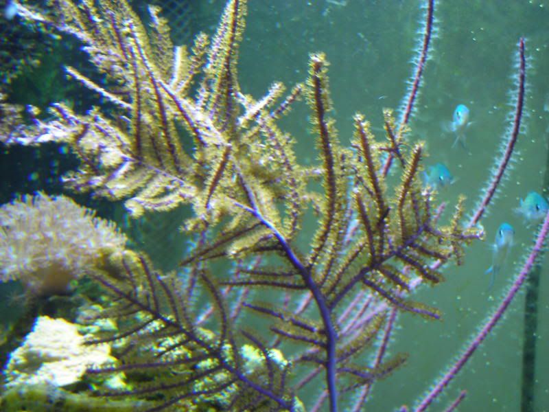 DSCN2115.jpg