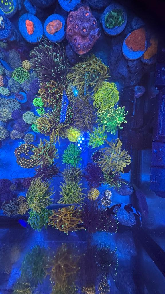 9f09498a8646244b374021fe977d770c.jpg