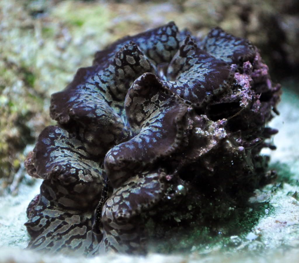 DSC_0286.jpg