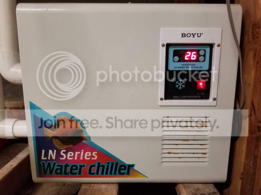 20190823_174422_zpstmh3rcmm.jpg