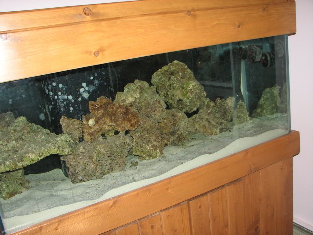 IMG_2055.jpg