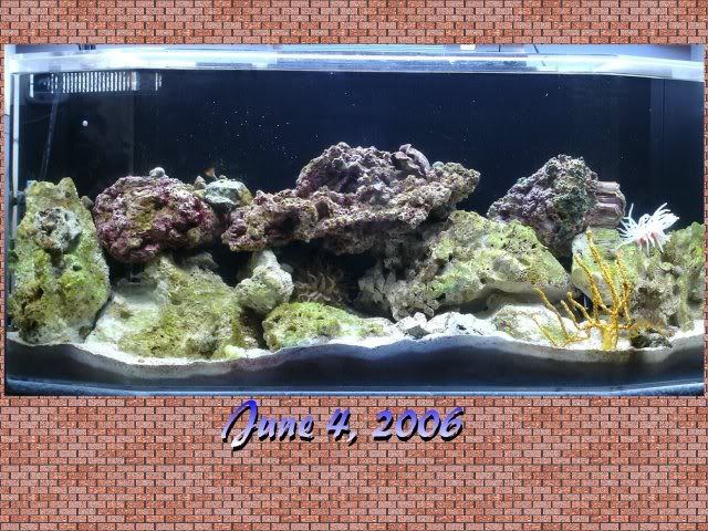 Aquarium11.jpg